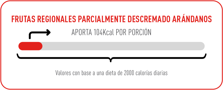 FRUTAS REGIONALES PARCIALMENTE DESCREMADO ARÁNDANOS